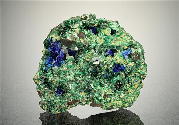 CC15560 specimen image