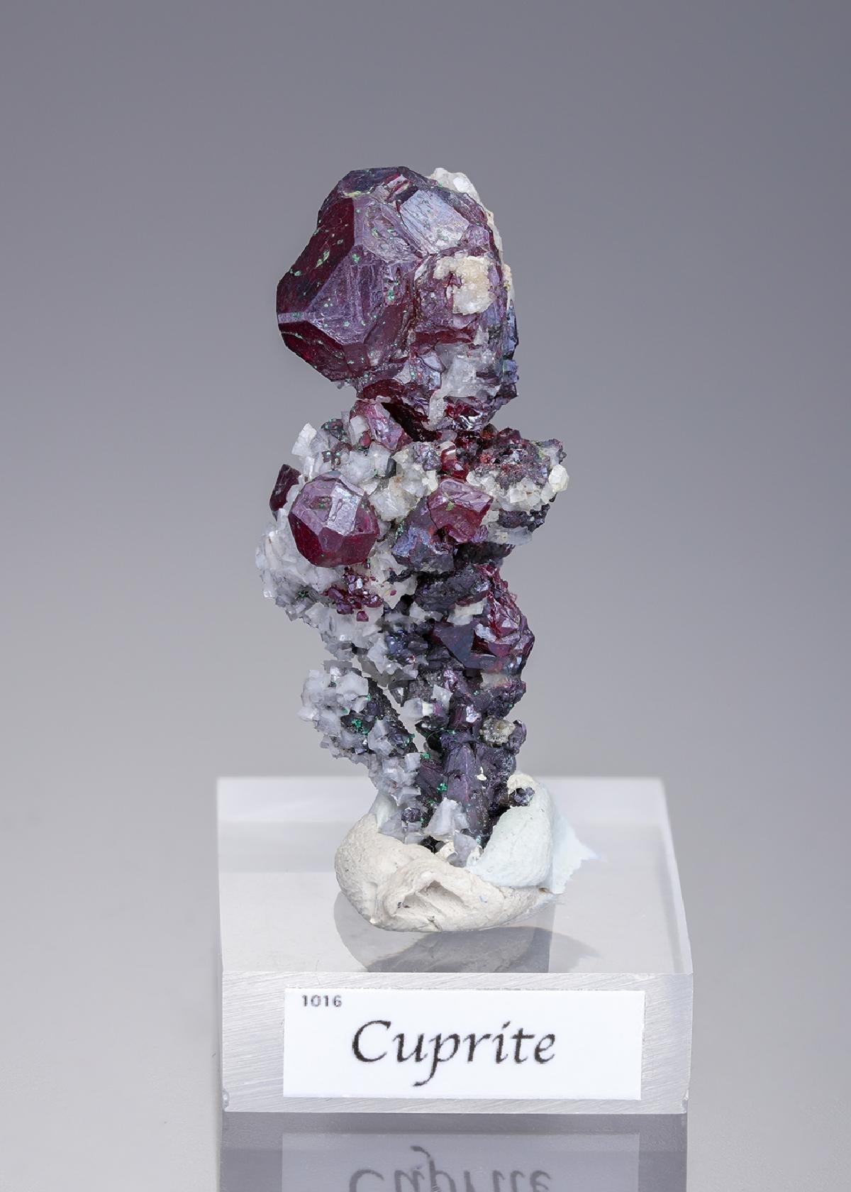 CC15898 specimen image