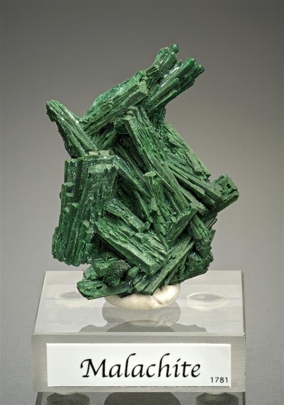 CC16059 specimen image