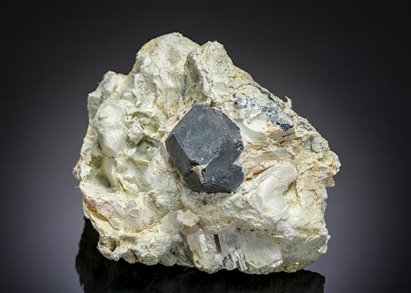 CC16407 specimen image