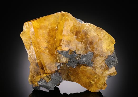 CC16412 specimen image