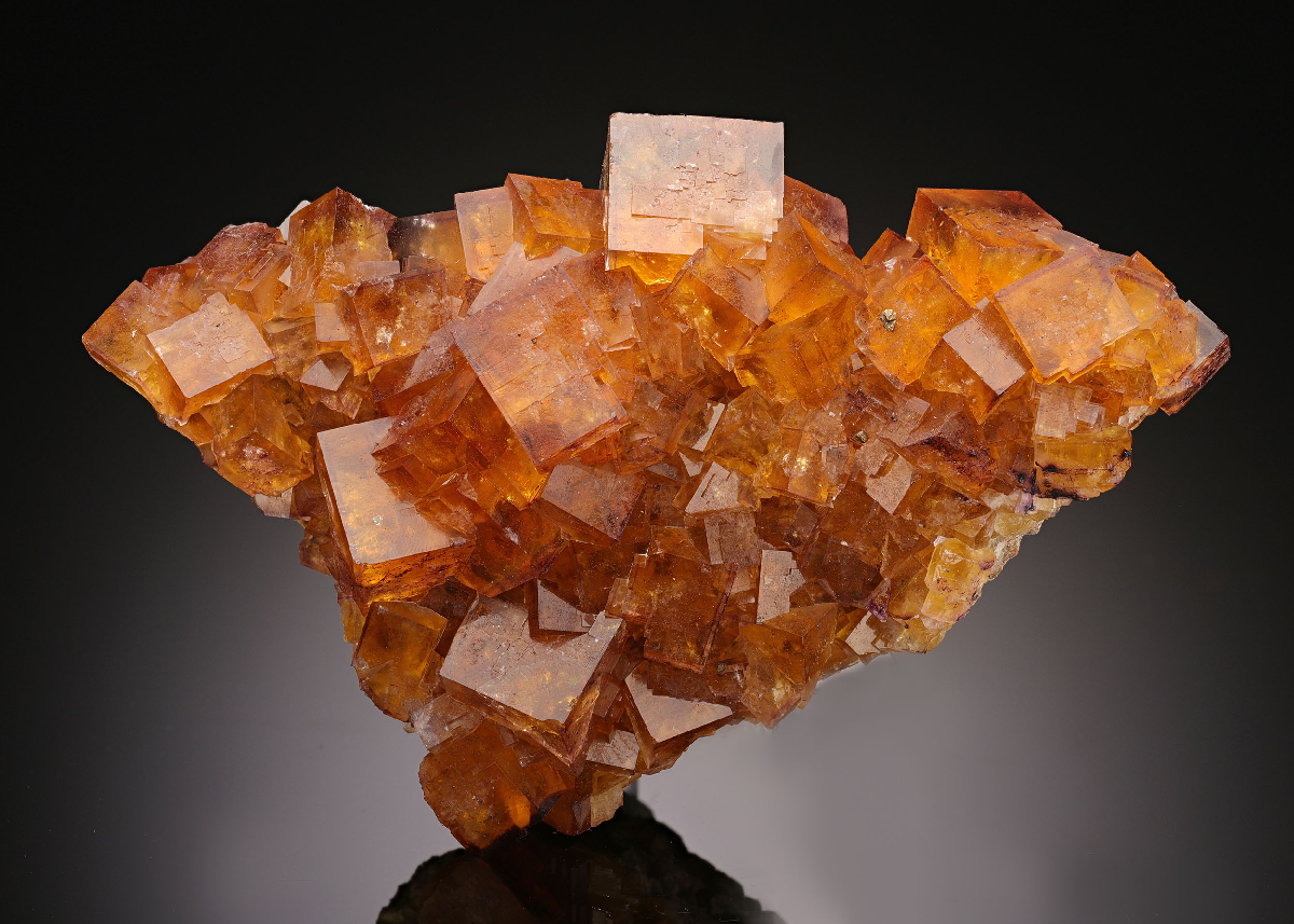 CC16421 specimen image