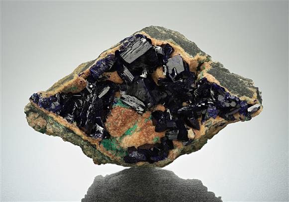 CC16433 specimen image