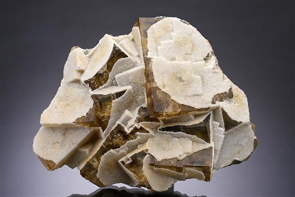 CC16437 specimen image