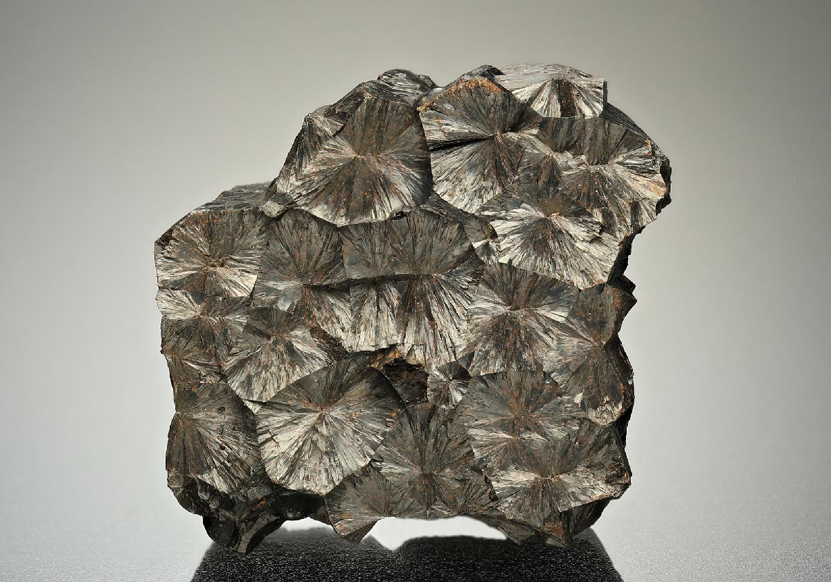 CC16506 specimen image