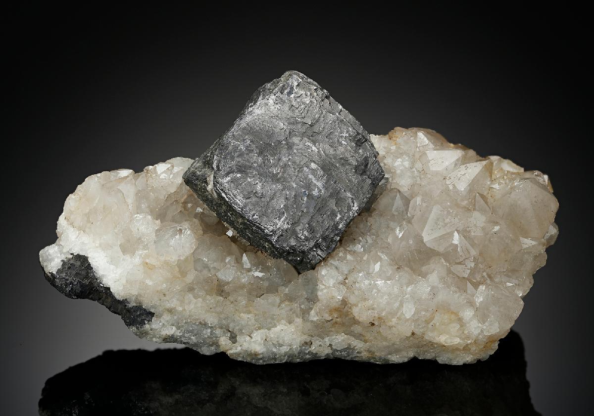 CC16558 specimen image