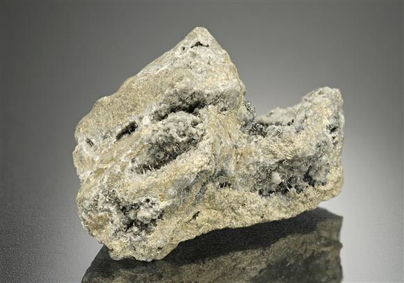 CC16562 specimen image