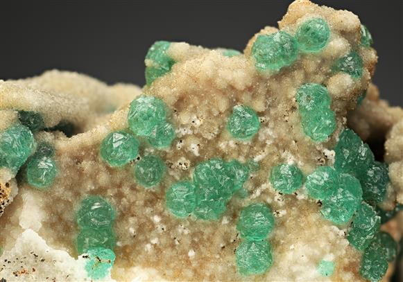 CC16705 specimen image