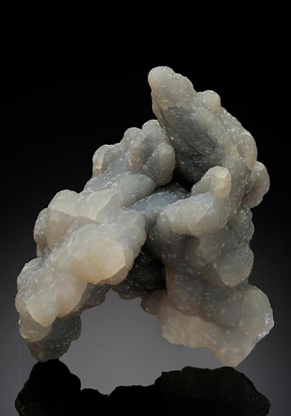 CC16710 specimen image