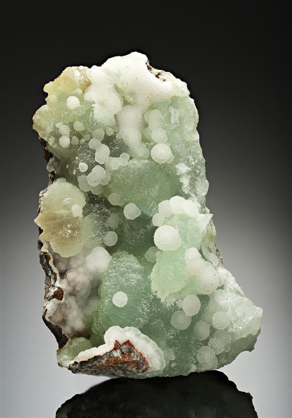 CC16721 specimen image