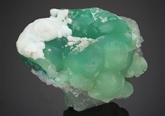 CC16739 specimen image