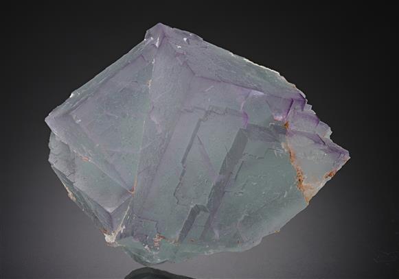 CC16757 specimen image