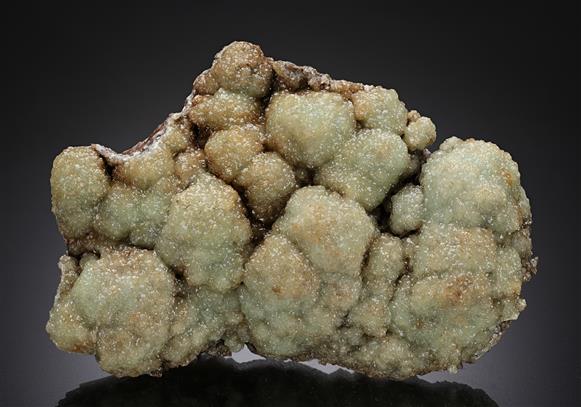 CC16763 specimen image