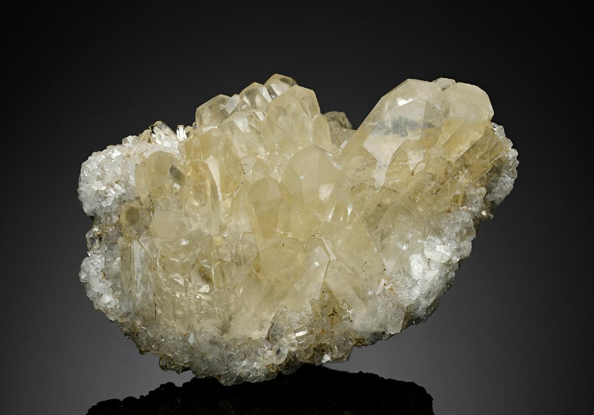 CC16799 specimen image