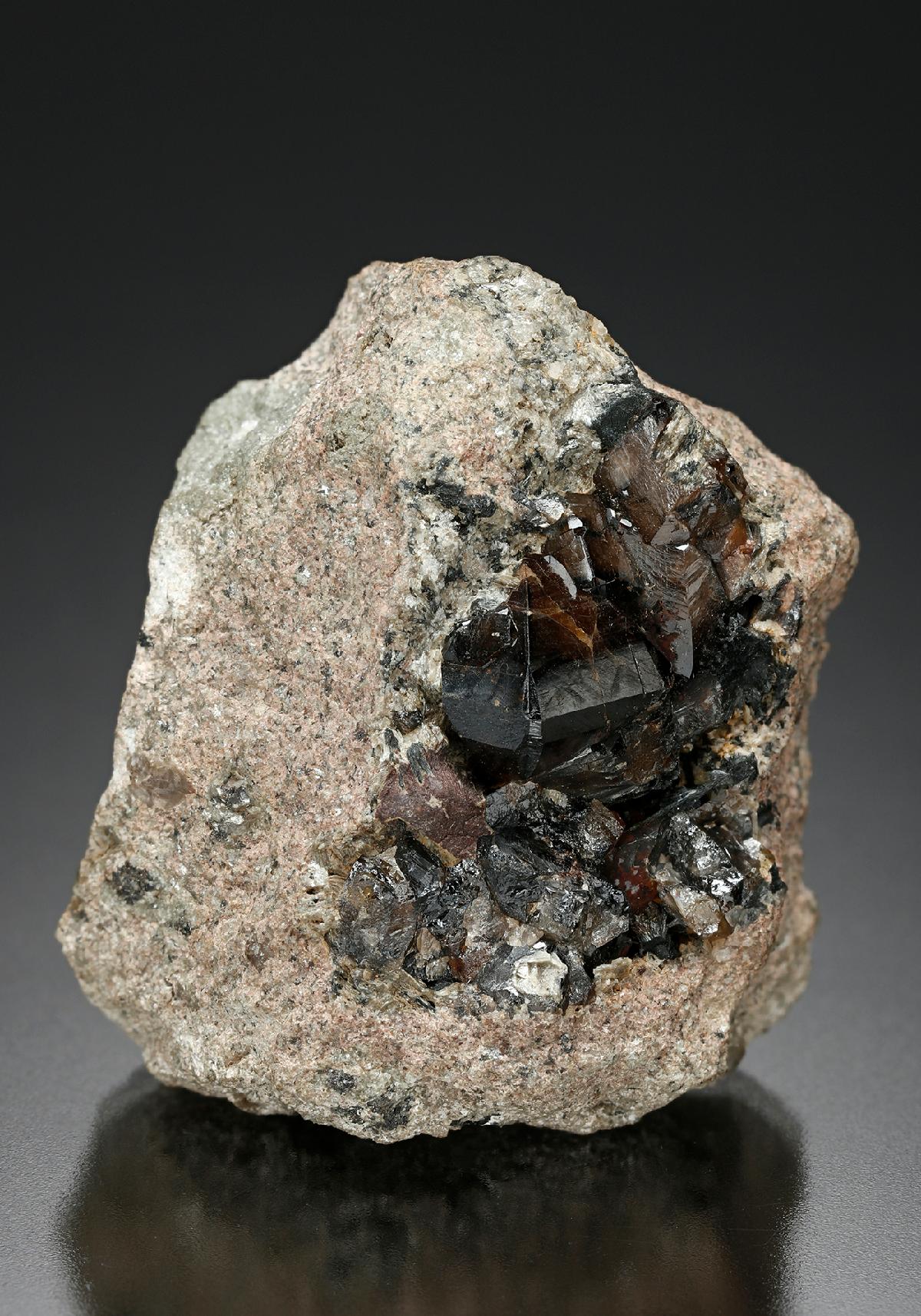 CC16827 specimen image