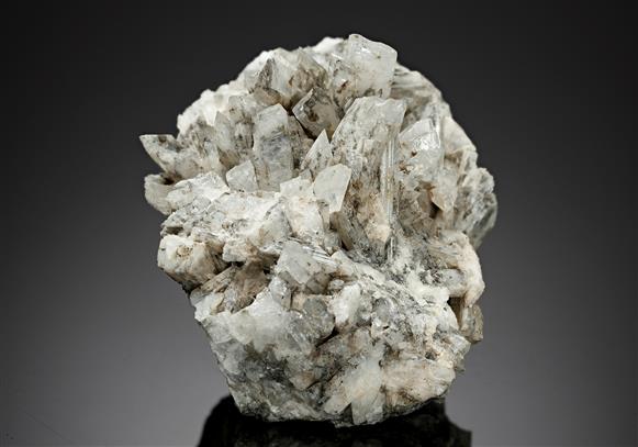 CC16889 specimen image