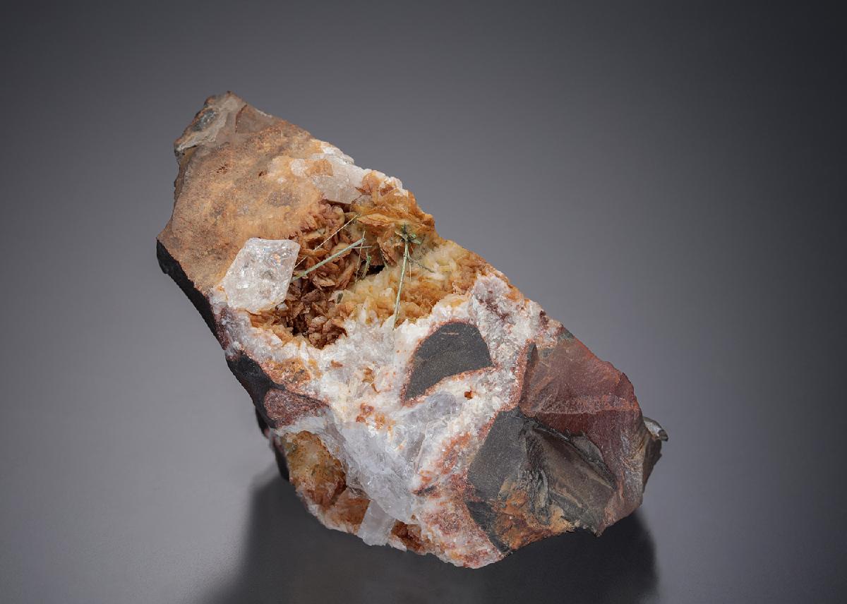 CC16906 specimen image