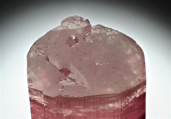 CC16924 specimen image