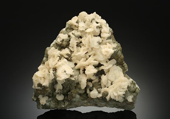 CC17009 specimen image