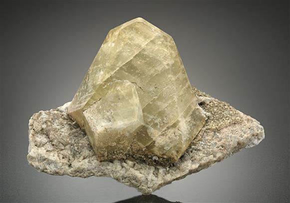 CC17049 specimen image
