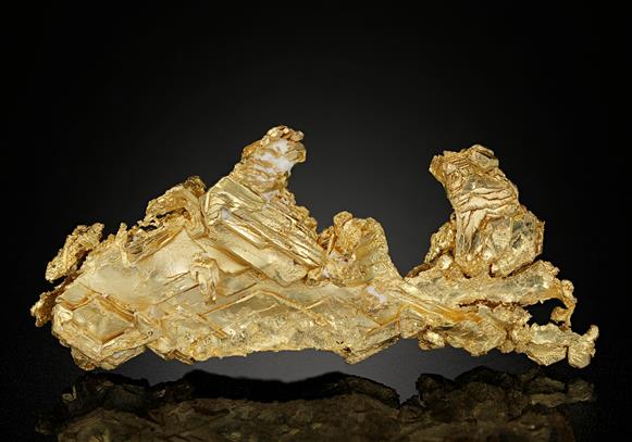 CC17107 specimen image