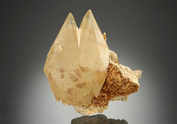 CC17218 specimen image