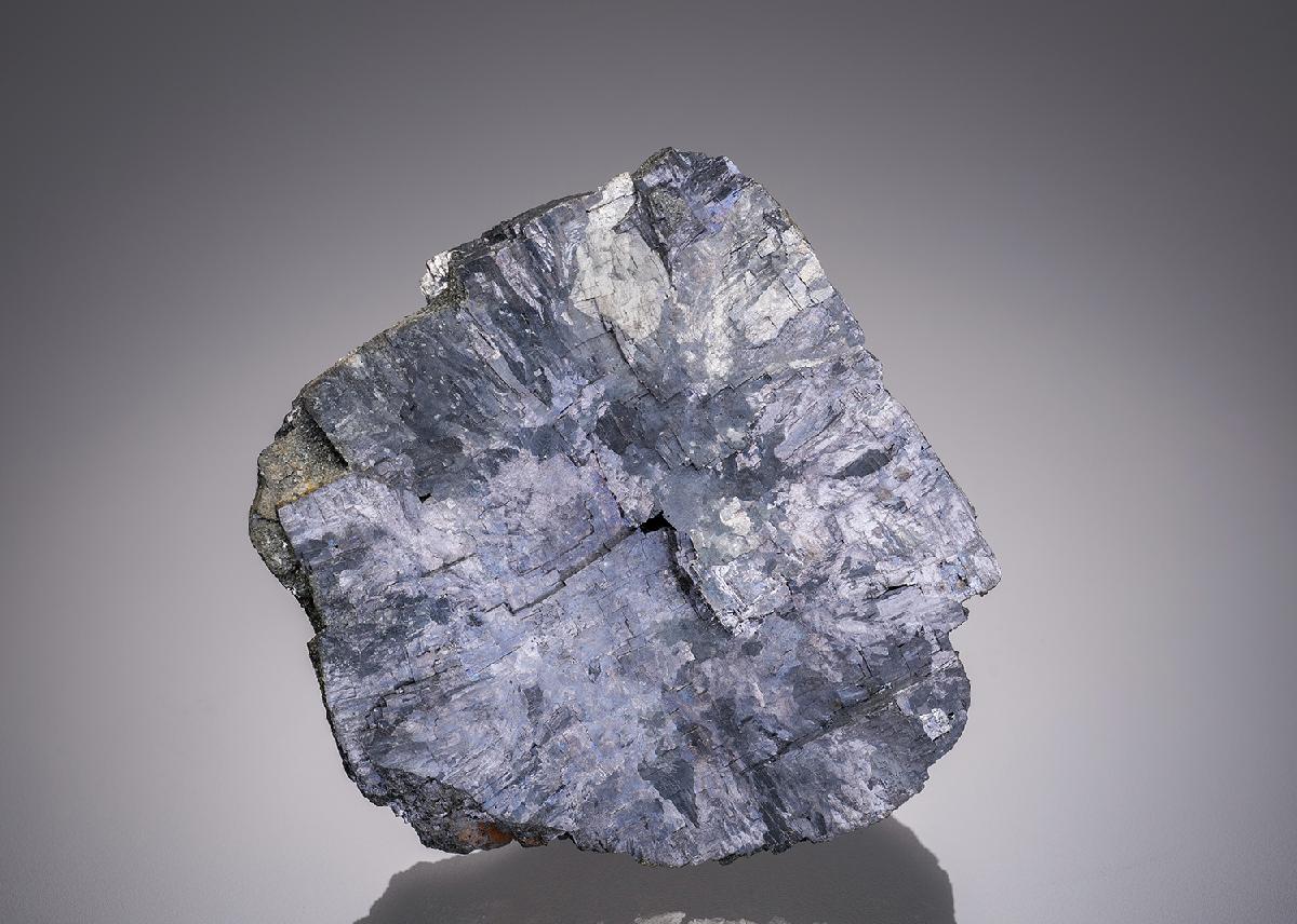 CC17228 specimen image