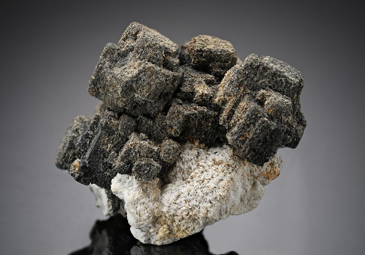 CC17312 specimen image
