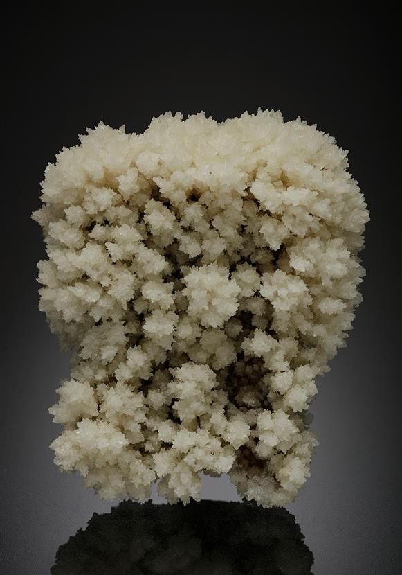 CC17318 specimen image