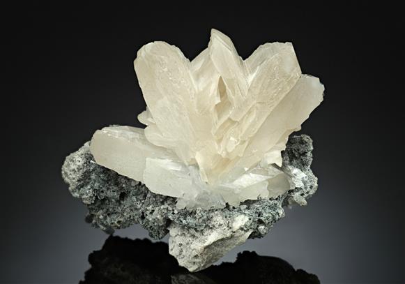 CC17325 specimen image