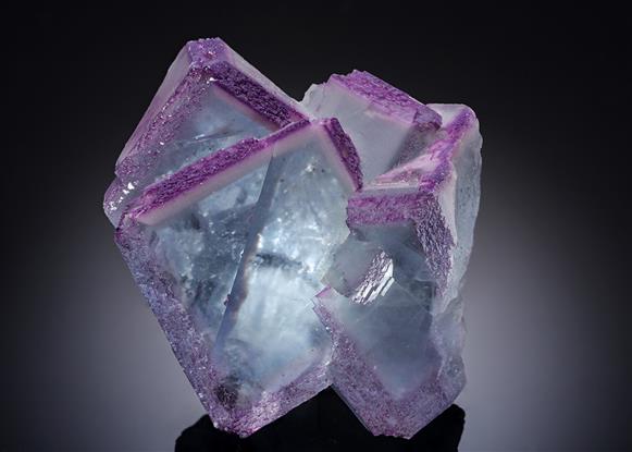 CC17333 specimen image