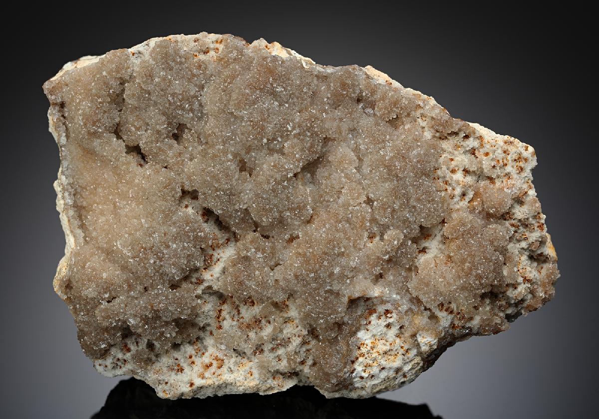 CC17343 specimen image