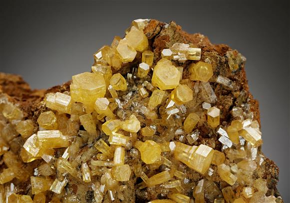 CC17439 specimen image