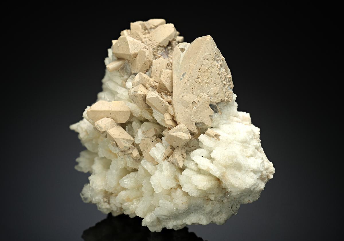 CC17565 specimen image