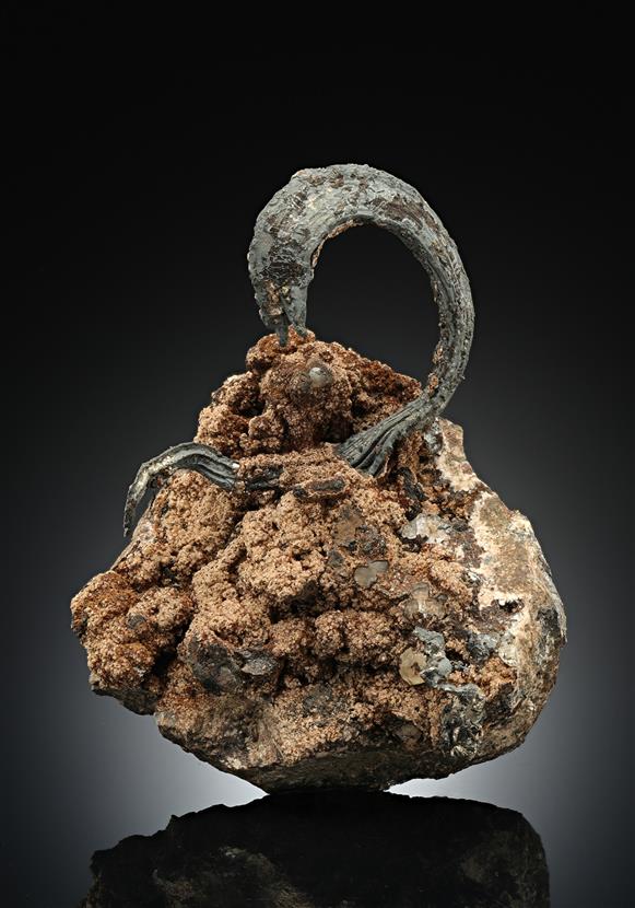 CC17571 specimen image