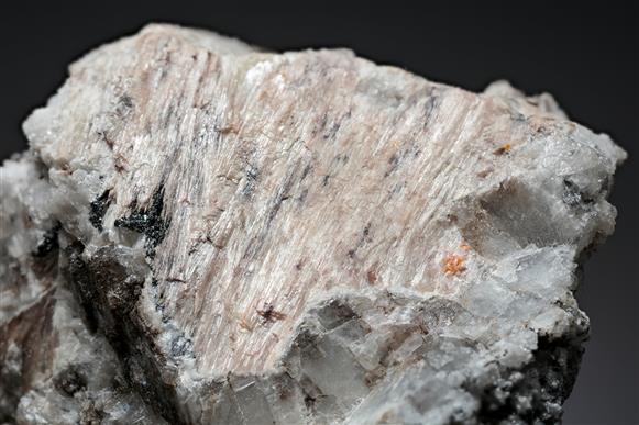 CC17700 specimen image
