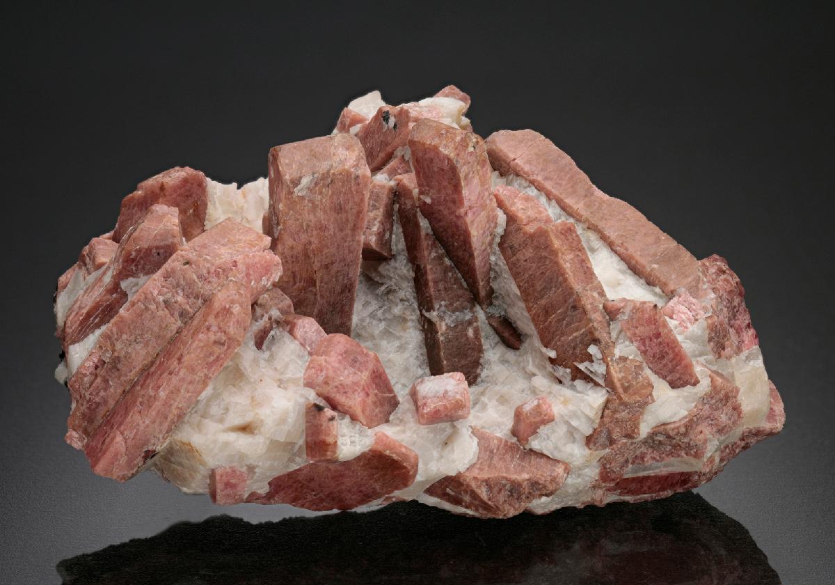 CC17757 specimen image