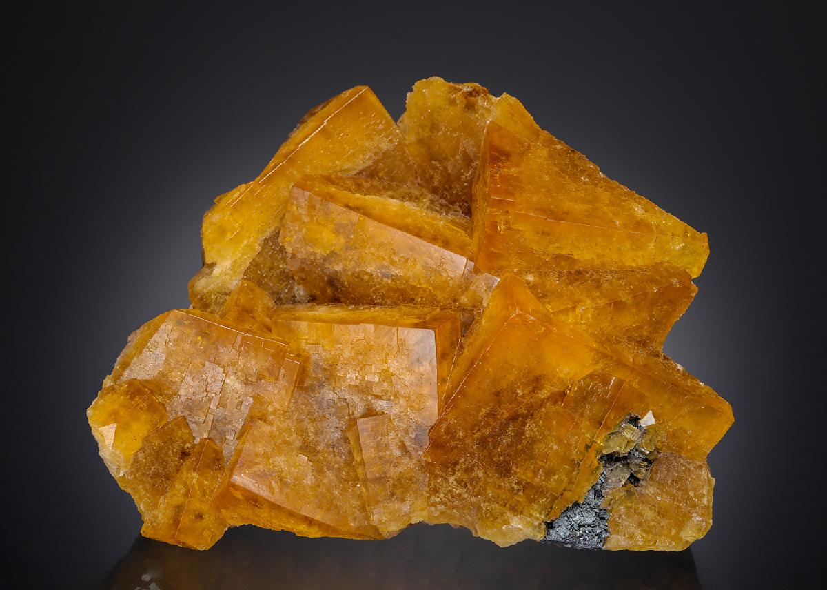 CC17792 specimen image
