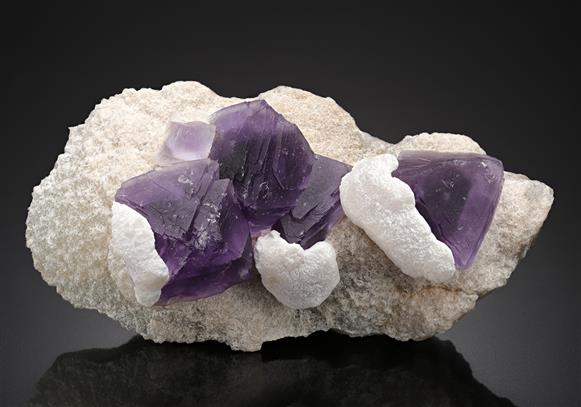 CC17817 specimen image