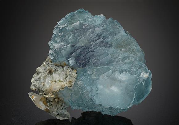 CC18004 specimen image