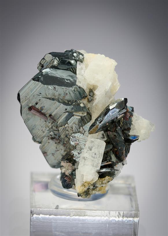 CC18020 specimen image