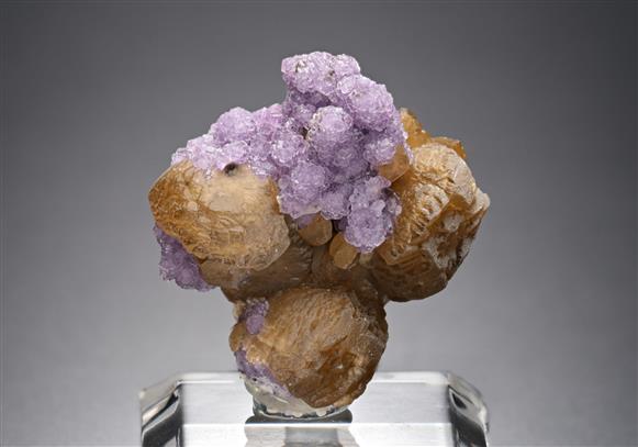 CC18023 specimen image