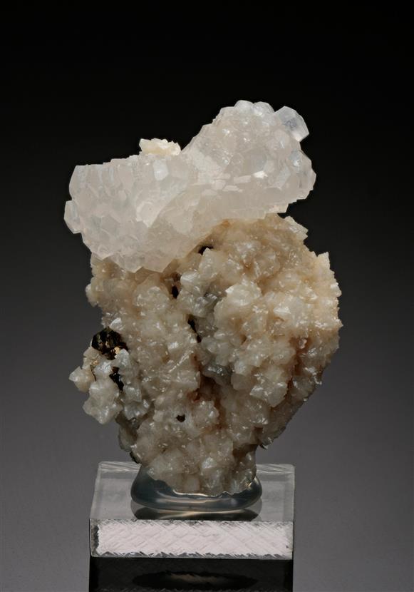 CC18034 specimen image