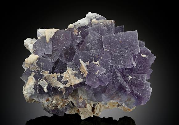CC18137 specimen image