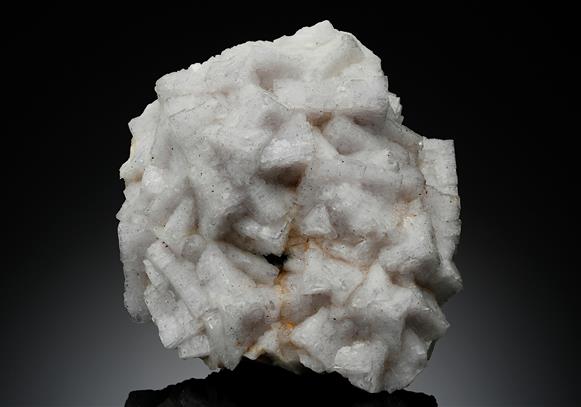 CC18198 specimen image