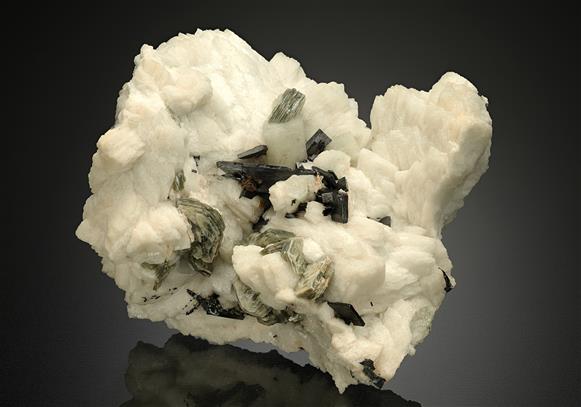 CC18221 specimen image