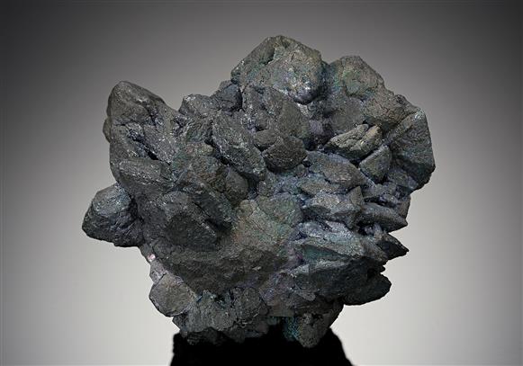 CC18235 specimen image