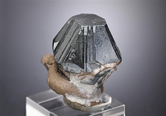 CC18242 specimen image