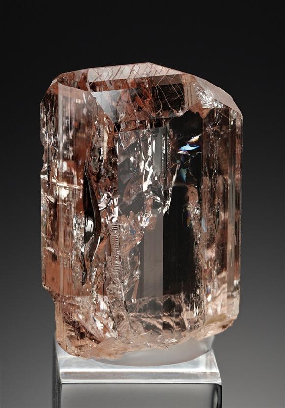 CC18243 specimen image