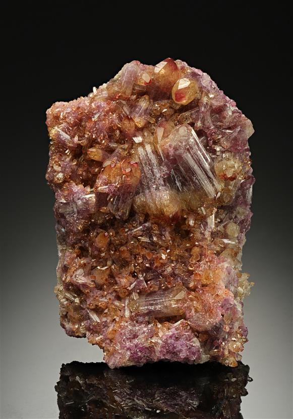CC18619 specimen image